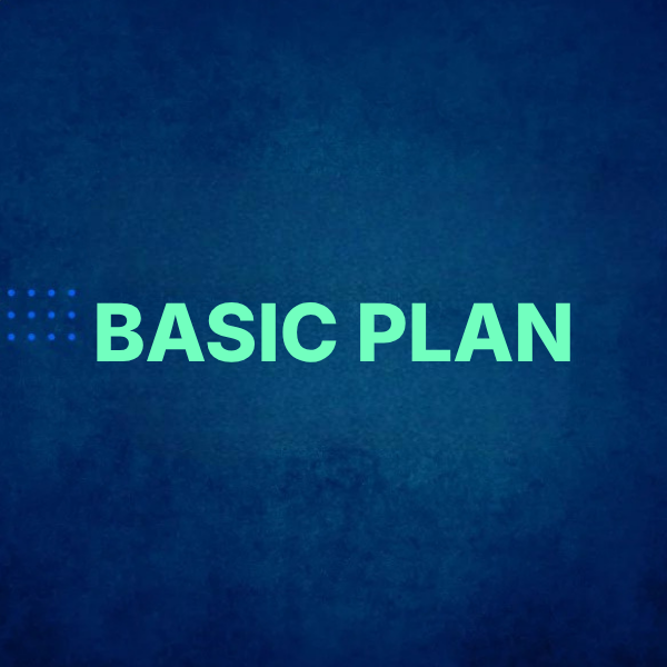 BASIC PLAN